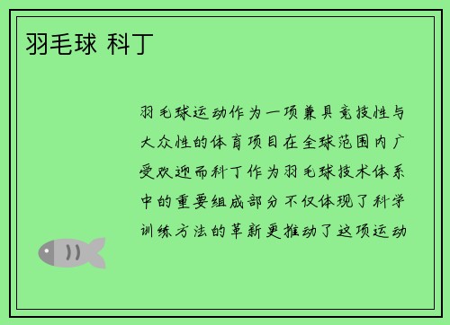 羽毛球 科丁
